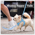 rabbitgoo Dog Harness Small Medium Sized and Leash Set, Step in Soft Light Puppy Vest, Breathable Mesh Pet Harness, Reflective for Safe Easy Walking, Blue L