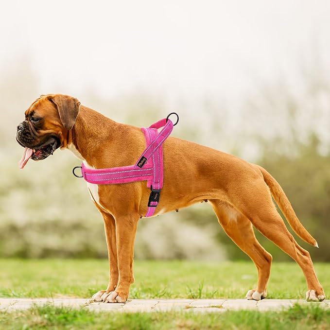Didog Soft Flannel Padded Dog Vest Harness, Escape Proof/Quick Fit Reflective Dog Strap Harness,Easy for Training Walking,Hot Pink S Size