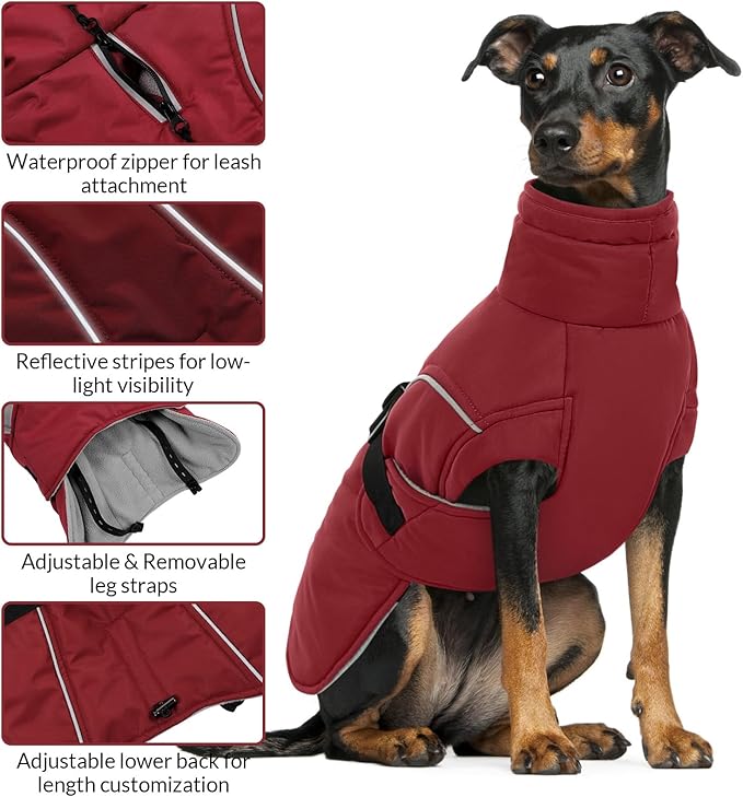 Queenmore Medium Dog Coat, Winter Dog Jacket, Waterproof Puffy Dog Snowsuit, Adjustable Reflective Fleece Lining Warm Padding Parka for Cold Weather, Red M