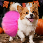 2 Pcs Dog Tutu Dress with Pearl Crown for Small Medium Pet Cat Dog Halloween Costume Dress for Ballet Birthday Party Wedding Photo Prop
