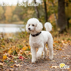 ADITYNA - Leather Dog Collar for Medium Dogs - Classic Style, Soft and Strong, Heavy Duty, Top-Grain Leather, Handmade - for Walking, Training, Hunting, and Running (M - Neck: 15-20 inches, Black)