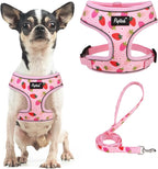 PUPTECK Soft Mesh Dog Harness and Leash Set Pet Puppy Cat Comfort Padded Vest No Pull Harnesses, Strawberry Pink, S