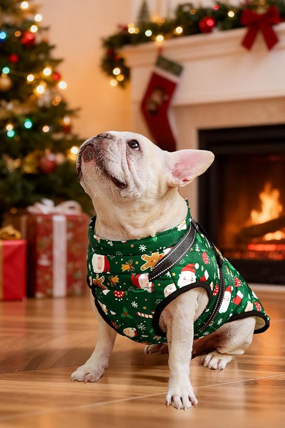 Aiboria Dog Jackets for Winter Windproof Waterproof Vest Fleece Warm Dogs Coat with Belt Christmas Green 4XL