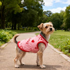 4 Pack Dog Shirts Summer Pet T Shirts Puppy Clothes Dog Clothing Breathable Cat Sleeveless Vest for Small Dogs Cats (Medium, Love)