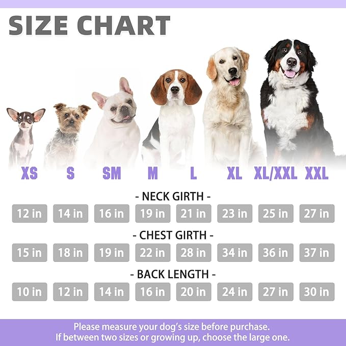KOOLTAIL Dog Hoodie for Large Medium Small Dogs,Soft&Warm Pet Sweater with Leash Hole and Pocket Boy Girl, Puppy Fall Winter Jacket Clothes,French Pitbull Cold Weather Coat Sweatshirt,Lavender SM