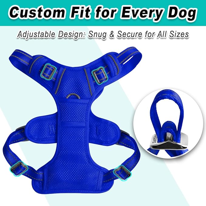 BARKBAY Dog Harness No Pull Mesh for Medium Dogs - Adjustable, Reflective, Comfortable, No Choke, Heavy-Duty - Perfect for Outdoor Training, Walking, and Hiking-Strong&Durable- M & Sapphire Blue Mesh