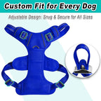 BARKBAY Dog Harness No Pull Mesh for Large Dogs - Adjustable, Reflective, Comfortable, No Choke, Heavy-Duty - Perfect for Outdoor Training, Walking, and Hiking-Strong&Durable- L & Sapphire Blue Mesh