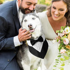 Dog Tuxedo Collar with Bow Tie – Adjustable Wedding Dog Collar Bandana for Small, Medium & Large Dogs – Formal Pet Attire for Weddings & Special Occasions