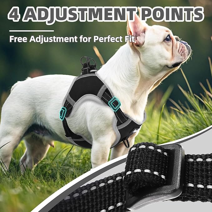 PUPTECK No Pull Dog Harness Small Medium Sized Dog, Adjustable Reflective Escape Proof Easy Control, Comfortable Soft Padded Step in Pet Vest Harness, Black, M