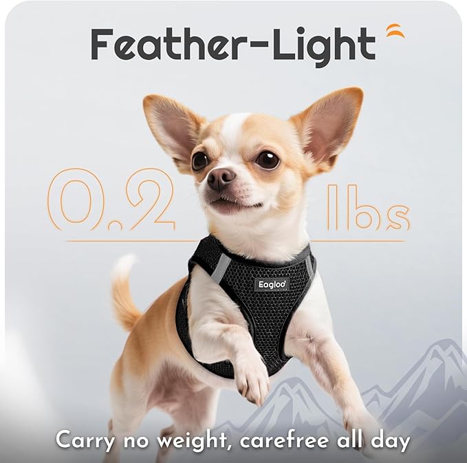 Eagloo Small Dog Harness and Leash Set, Step in Puppy Vest with Breathable Soft Mesh, Walking Reflective Pet Harness for Medium Small Dogs, Black, L