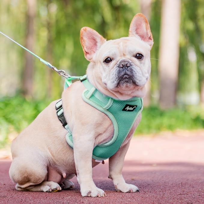 PUPTECK Small Dog Harness and Leash Set, No Pull Adjustable Puppy Cat Harness, Reflective Soft Mesh Pet Vest Small Sized, Green, M