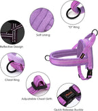 Didog Soft Flannel Padded Dog Vest Harness, No Pull/Quick Fit Reflective Dog Strap Harness, Easy for Training Walking (M:Chest 22-26", Purple)