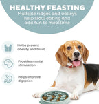Outward Hound Medium Slow Feeder Bowl, Puzzle Maze for Fast Eaters, Small to Medium Dogs, Helps Prevent Bloat & Aid Digestion, Holds 2 Cups Wet or Dry Food, Non-Slip, Made Without BPA, Sage