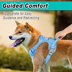 BARKBAY Dog Harness No Pull Mesh for Large Dogs - Adjustable, Reflective, Comfortable, No Choke, Heavy-Duty - Perfect for Outdoor Training, Walking, and Hiking - Strong & Durable - L & Blue Mesh