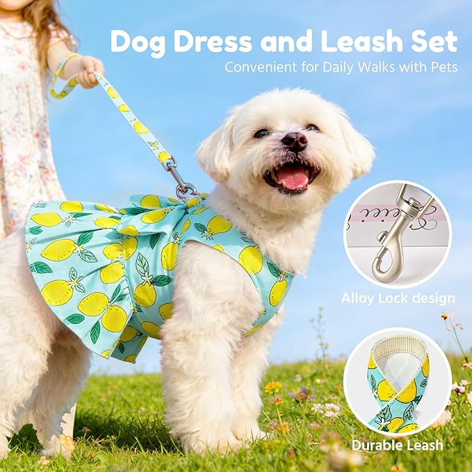 BAEJMJK Dog Dress Bowknot Harness Leash Set for Small Dogs Cats Girl Floral Princess Dog Dresses Cute Puppy Fruit Clothes Pet Doggy Outfits Spring Summer Breathable Dresses(Green,Medium)