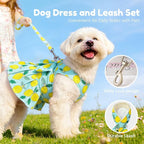 BAEJMJK Dog Dress Bowknot Harness Leash Set for Small Dogs Cats Girl Floral Princess Dog Dresses Cute Puppy Fruit Clothes Pet Doggy Outfits Spring Summer Breathable Dresses(Green,Large)
