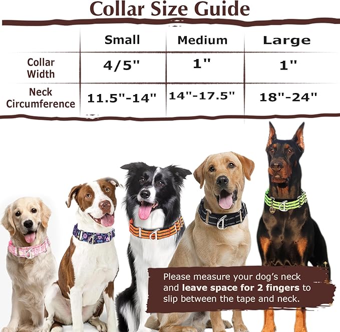 Martingale Collar for Dogs -Reflective Nylon No Slip Choke with Padded Comfort Heavy Duty Dog Collar with Quick Release Buckle for Training, Walking & Overexcited Pulling Orange M