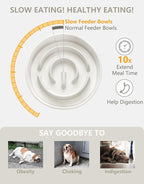 Ceramic Slow Feeder Dog Bowls, 0.6 Cup Slow Feeder for Small Dogs, Puzzle Maze Bowl, Prevents Choking, 6in, White