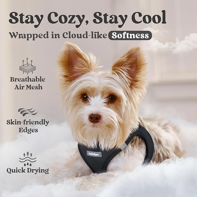 rabbitgoo Small Dog Harness, Step-in Soft Mesh Puppy Vest with Safety Buckle, Breathable Reflective Pet Harness for Small Medium Dogs, Black XL