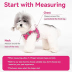 Petank Dog Harness for Small Medium Dogs No Pull, Puppy Harness and Leash Set for Walking, Running, Training, Small Dog Harness, Medium Dog Harness (Rose Red, M)