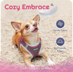 Eagloo Small Dog Harness and Leash Set, Step in Puppy Vest with Breathable Soft Mesh, Walking Reflective Pet Harness for Small Dogs, Rose Red, XS