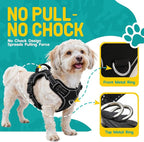 No Pull Dog Harness and Leash Set for Small Dogs – Adjustable Reflective Breathable Soft Padded Easy Control Dog Harness for Training & Walking, Black (Small)