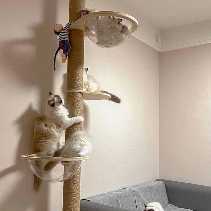 Cat Tree Transparent Spaceship Hammock Accessory Free Standing Cat Stand Accessory Modern Activity Cat Stand Space Ship