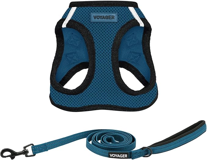 Best Pet Supplies Voyager Step-in Air All Weather Mesh Harness and Reflective Dog 5 ft Leash Combo with Neoprene Handle, for Small, Medium and Large Breed Puppies - Blue/Black Trim, XX-Small