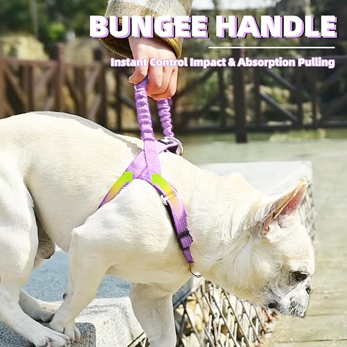 PUPTECK No Pull Dog Harness Small Sized Dog, Adjustable Reflective Pet Vest Harness with Bungee Handle, Escape Proof No Choke Harness for Small Dogs Walking Training, Purple M