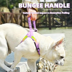 PUPTECK No Pull Dog Harness Small Sized Dog, Adjustable Reflective Pet Vest Harness with Bungee Handle, Escape Proof No Choke Harness for Small Dogs Walking Training, Purple S