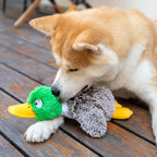 Best Pet Supplies Interactive Squeaky Dog Chew Toy, Ideal Dog Toys for Chewers, Small, Medium & Large Dogs, and Fetch Lovers - Mallard Duck (Gray), Small