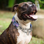 Martingale Dog Collar with Steel Chain, Reflective Choke Collar with Soft Padded- Adjustable No Pull with Bohemia Flower for Training Large Dogs Pet Collars for Walking（L