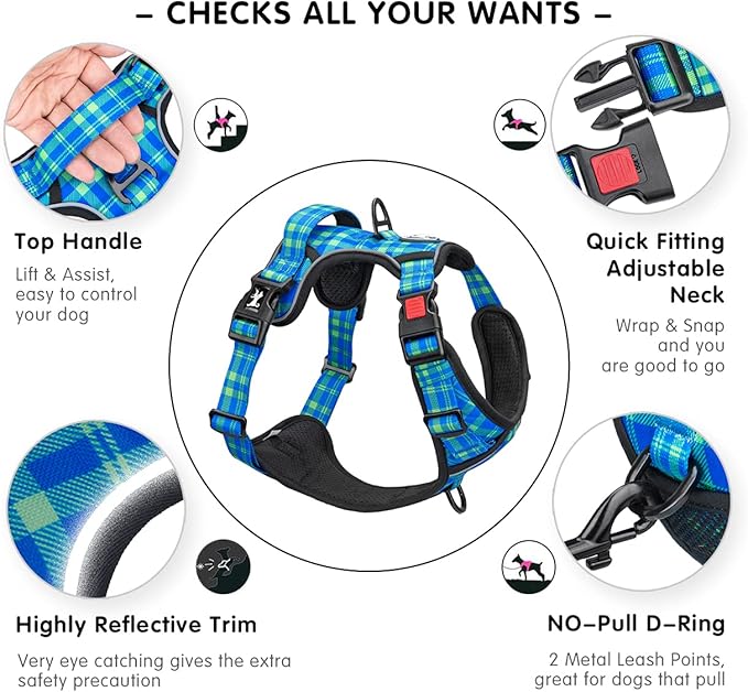 PoyPet No Pull Dog Harness, Reflective Adjustable No Choke Pet Vest with Front & Back 2 Leash Attachments, Soft Control Training Handle for Small Medium Large Dogs(Checkered Blue & Green,XL)