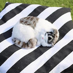 Dog Bed Tent,Portable Pet Tent for Cats or Small Dogs,Removable & Washable,Indoor Dog House with Thick Cushion,Cat Tents for Indoor Cats,Soft,Cozy,Pet Teepee,Dog Cabana Outdoor(White&Black)