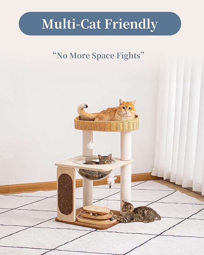 Modern Cat Tree for Large Cats, Modern Cat Tree Tower with Wide Shelves Cotton Scratching Posts, Super Sturdy Base, Cozy Perches, and Interactive Toys for Indoor Kittens 31-Inch