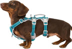 Huntboo Escape Proof Dog Harness, Escape Artist Harness, Fully Reflective Harness with Padded Handle, Breathable,Durable, Adjustable Vest for Medium Dogs Walking, Training, and Running Gear (Teal,XS)