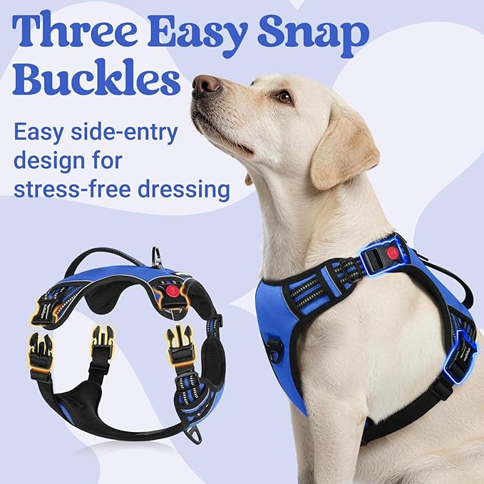 rabbitgoo Dog Harness for Large Dogs, No Pull Pet Harness with Soft Padded Handle, Adjustable Reflective Vest with 3 Buckles, Easy Walking Harness with 2 Leash Clips, Blue, L