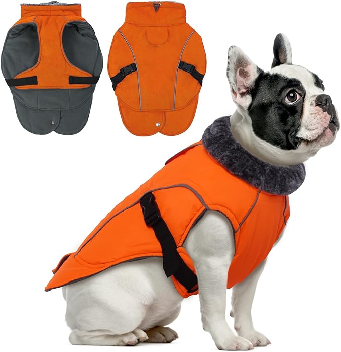 DENTRUN Winter Warm Dog Coat Reflective Jacket with Turtleneck for Cold Weather, Adjustable Buckle Windproof Water Repellent, Thick Snowsuit Fleece Vest for Small, Medium, Large Dogs, Orange, M
