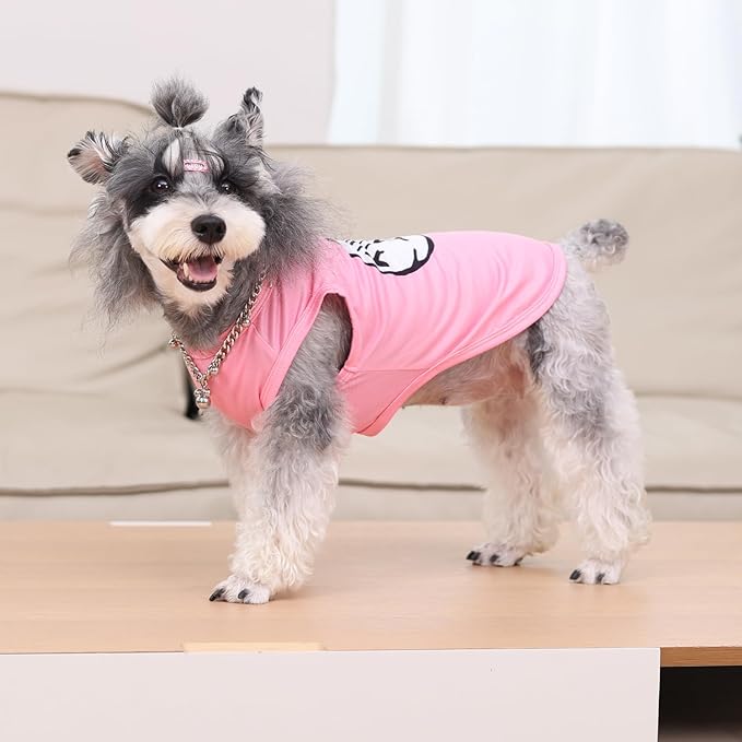 CuteBone Dog Shirts 2-Pack Soft Pet Clothes Breathable Summer Vest for Small Puppy and Stretchy Cat Apparel 2BX21S-D
