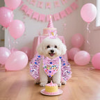 hoyuwak Dog Birthday Party Supplies Girl Dog Birthday Bandana Tutu Set Cute Hat Bow Tie Set for Large Medium Small Dogs