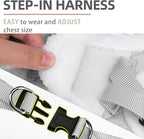 PUPTECK Plush Dog Harness and Leash Set for Small Medium Dogs No Pull Step-in Soft Mesh Puppy Cat Winter Vest Harnesses Reflective at Night Warm, Plush Grey, M