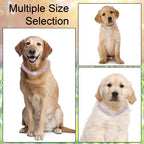 Metal Diamond Dog Chain Dog Training Chain with Secure Buckle Pet Collars for Large Medium Dogs
