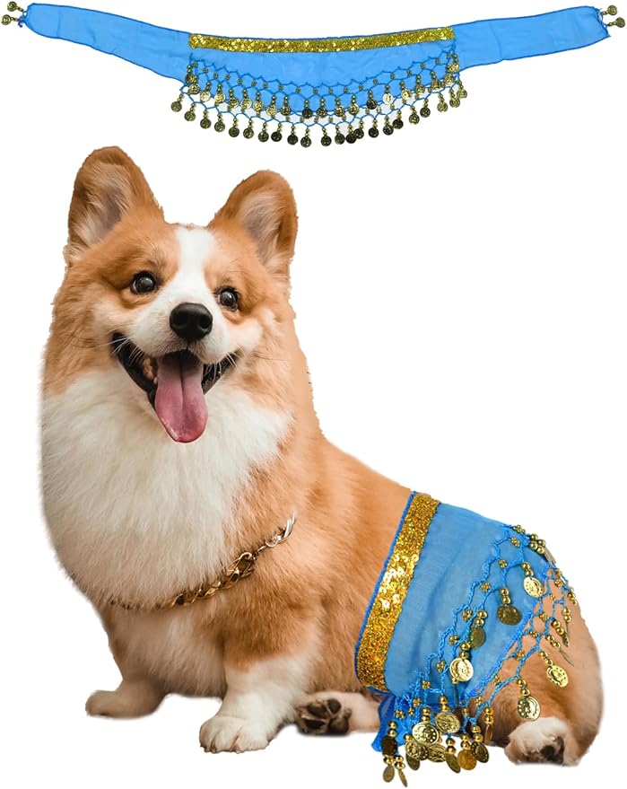 Dog Belly Dancer Costume - Puppy Outfit with Sequin Waist Chain & Hip-Shaking Skirt - Ideal for Corgi and Puppy Birthday Parties or Halloween Celebrations(Small,Lake Blue)