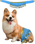 Dog Belly Dancer Costume - Puppy Outfit with Sequin Waist Chain & Hip-Shaking Skirt - Ideal for Corgi and Puppy Birthday Parties or Halloween Celebrations(Small,Lake Blue)