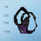 Voyager Step-in Pet Harness - All Weather Mesh, Adjustable Step in Harness for Cats and Dogs by Best Pet Supplies - Purple/Black Trim, S