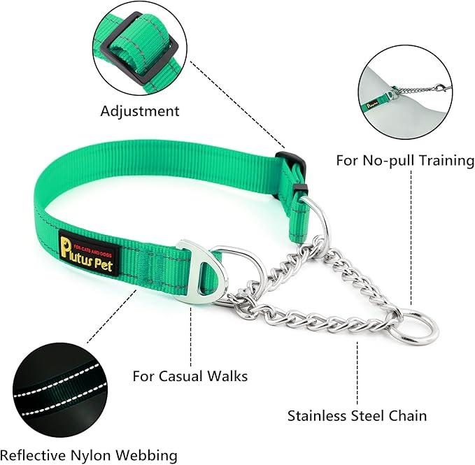 Plutus Pet Martingale Dog Collar with Stainless Steel Chain and Reflective Nylon, Adjustable No Pull Training Collar, for Small Medium, and Large Dogs, Green, L