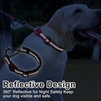 Cymiler Martingale Dog Collar with AirTag Holder, Reflective Nylon Training Collar, Stainless Steel Chain, Heavy Duty Buckle, Limited Slip Collars for Small Medium Large Dogs (Purple, Medium)