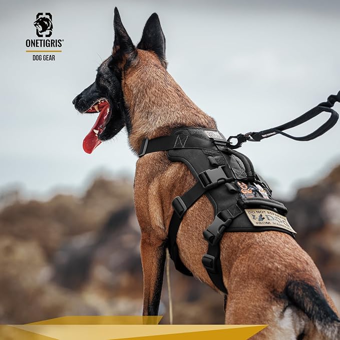 OneTigris Escape Proof Dog Harness, No Pull Dog Harness with Handles, Tactical Multi-Use Support Dogs Harnes for Large Dogs Everyday Wear Walking Hiking Training (Black, Medium)