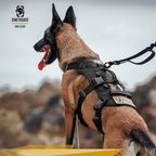 OneTigris Escape Proof Dog Harness, No Pull Dog Harness with Handles, Tactical Multi-Use Support Dogs Harnes for Large Dogs Everyday Wear Walking Hiking Training (Black, Medium)