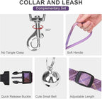 EXPAWLORER Classic Plaid Puppy Harness - Small Dog Harness and Leash Set - Dog Collar and Leash Set with AirTag Holder, Soft Padded Step in Dog Vest Harness No Pull Reflective for Outdoor, Purple S